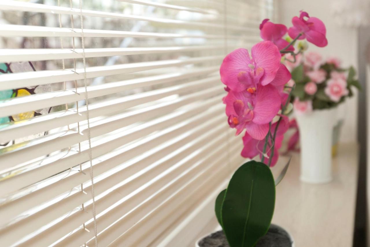 Apartman Nade Pula Dış mekan fotoğraf